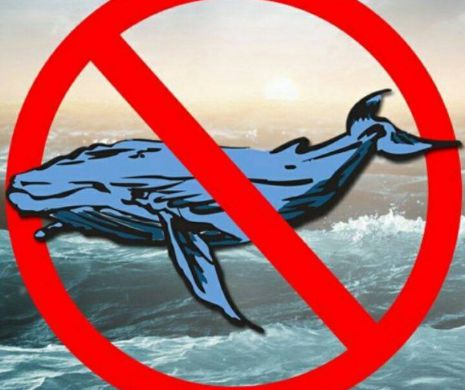 „Balena albastră”, jocul ucigaş, a mai ADUNAT un adept! Ce i-a salvat viaţa minorului