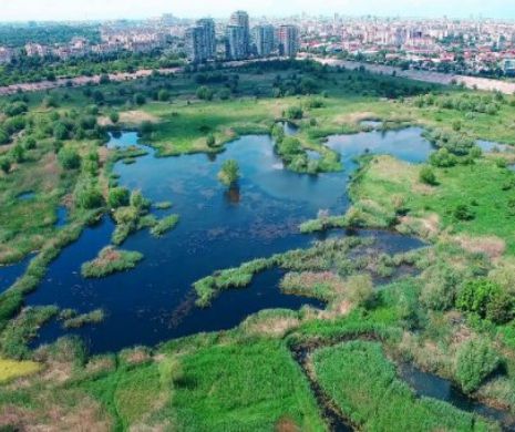 Cele mai valoroase 186 de hectare din Bucureşti vor fi păzite de Rangeri