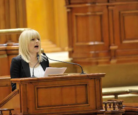 Elena Udrea s-a dus la DNA pentru a-și recupera mai multe documente