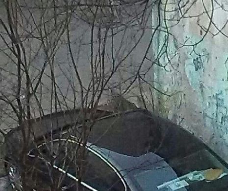 Invenția TRĂSNITĂ a unui șofer din București! Ce și-a pus sub mașină, în parcare. Acum toți românii îl vor copia - FOTO