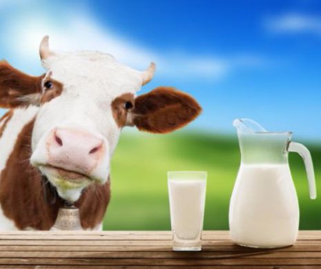 La ce ne mai trebuie subvenţii pentru scăderea producţiei? Vacile româneşti nu mai dau lapte