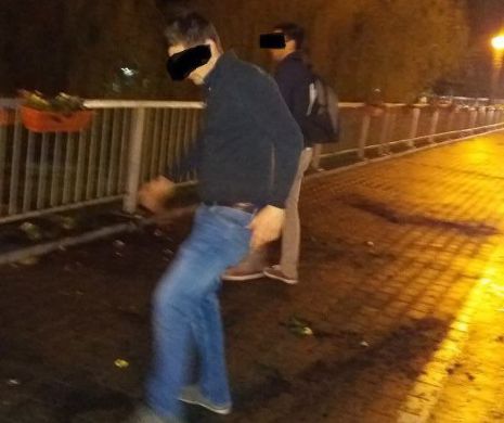 Vandalism. Belgieni veniți la Timișoara, DISTRUGEAU SISTEMATIC ghivecele cu panseluțe I FOTO