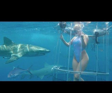 Actrita de filme pentru adulti, atacata de rechin. VIDEO