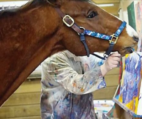 Calul care și-a salvat viața pictând