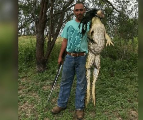 Captură halucinantă. Un vânător a împușcat o broască de dimensiunile unui copil  - IMAGINI incredibile