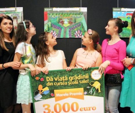 Concurs „Grădina din curtea școlii”: Şcoala care va avea grădină de 3.000 de euro