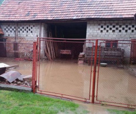 Gospodării inundate în comuna brașoveană Teliu