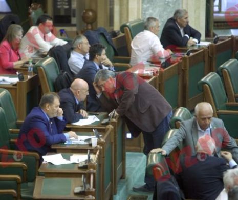 Parlamentul declanşează războiul de exterminare a ambroziei