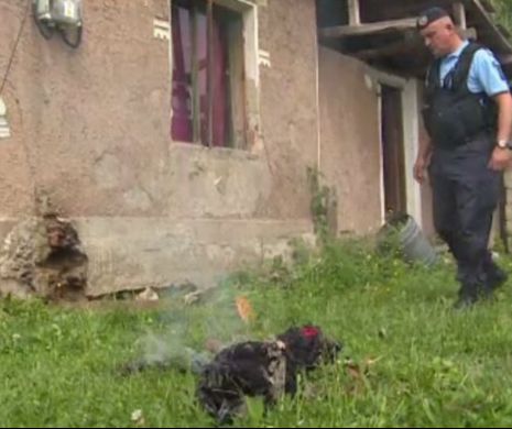 Un barbat din Gorj a chemat de urgenta pompierii sa scoata un sarpe ascuns in casa lui. Ce a urmat