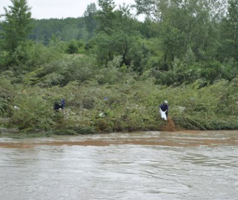 Zeci de pești morți în râul Olt, la Slatina