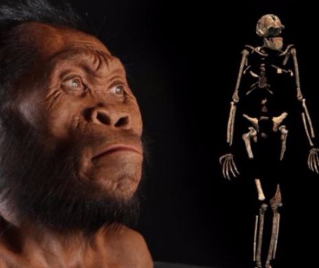 Descoperirea care ar putea RESCRIE istoria lumii! Cât de INTELIGENȚI era de fapt strămășii omului?