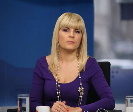 Elena Udrea: " Nu are sens să mă mai apăr în dosarul alegerilor din 2009"