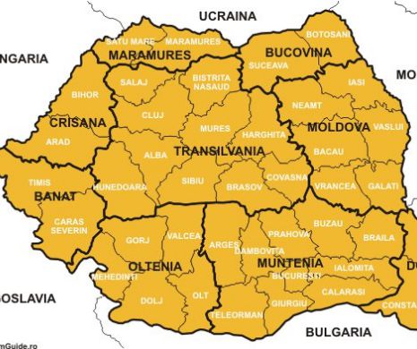 O MARE companie GERMANĂ se extinde în România. Caută terenuri!