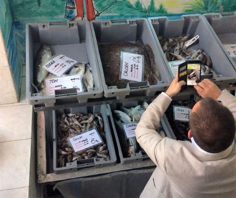 Pește împuțit, la vânzare în centrul Constanței. Șeful OPC, Horia Constantinescu, amenințat de proprietarul pescăriei, un ofițer de la “Doi și-un sfert „
