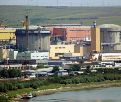 Algele de pe Dunăre, un pericol pentru activitatea Centralei Nucleare de la Cernavodă