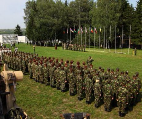 ARMATA trage salve de tun în memoria EROILOR de la Mărăști la cel mai mare EXERCIȚIU NATO