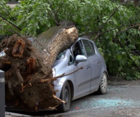 BILANȚUL furtunii în Capitală: copaci rupți, mașini avariate şi 11 intervenţii ale ISU