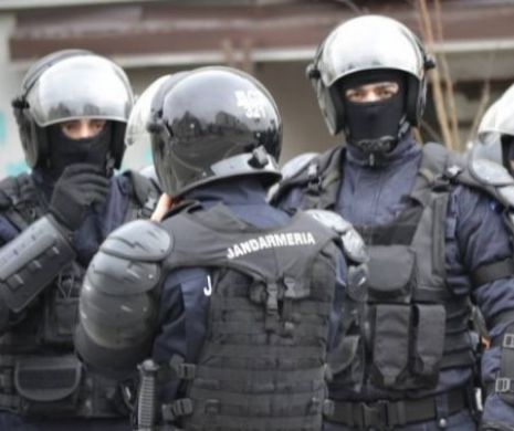 De râsul curcilor! Poliția Locală Timișoara SANCȚIONATĂ de Jandarmerie