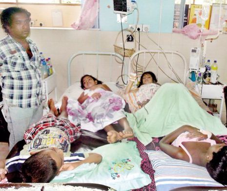 Epidemie de febră dengue în Sri Lanka: 300 de morți