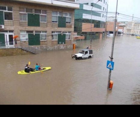 Imagini desprinse din „Arca lui Noe” la Tulcea! A venit APOCALIPSA după FURTUNĂ - Foto în articol