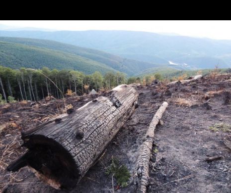 Ministerul Apelor și Pădurilor a trimis Corpul de control în Parcul Național Semenic