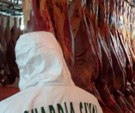 O grupare infracțională specializată în comercializarea de carne de cal contaminată a fost destructurată în Spania