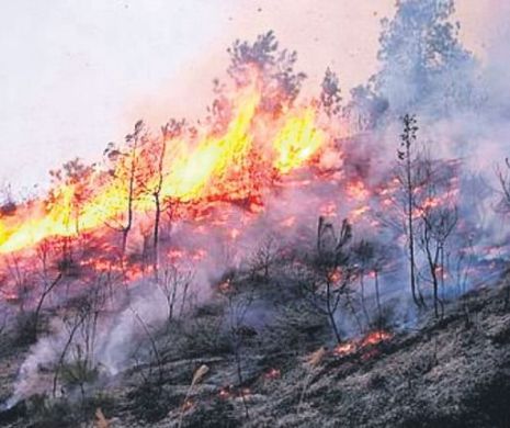 Piroman român, bănuit că a provocat un incendiu care a distrus 80 de hectare dintr-o zonă turistică