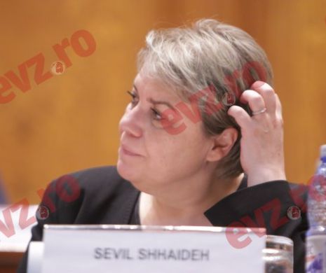 Secretar de stat în ministerul lui Sevil Shhaideh, urmit PENAL de DNA