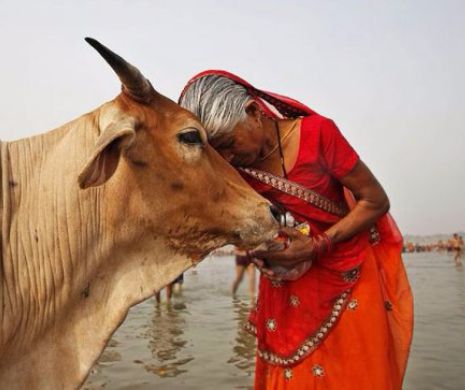 Secvențe halucinante în India. Un bărbat și-a ucis soția dintr-un motiv incredibil