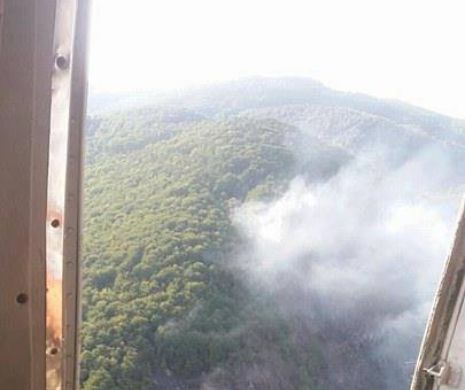 Arde pădurea în Hunedoara. Focul a cuprins deja  5 hectare