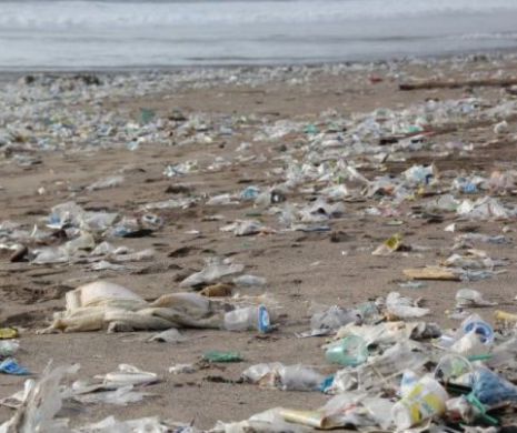 Fără plastic la evenimentele care vor avea loc pe litoralul românesc