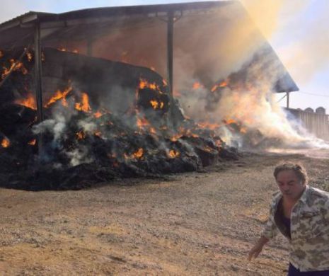DEZASTRU. Flăcările au mistuit totul în calea lor la o fermă din Timiș I GALERIE FOTO