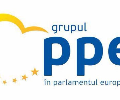 Grupul PPE: Orice regiune sau țară ar trebui să fie acoperită de rețeaua energetică europeană