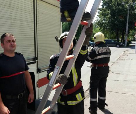 Intervenție neobișnuită pentru patru pompieri din Timișoara I FOTO