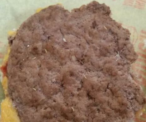 Meniul zilei: Cheesburger cu viermi