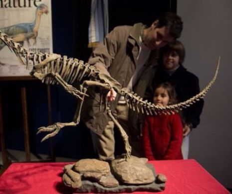 MISTERUL dinozaurului Frankestein a fost elucidat