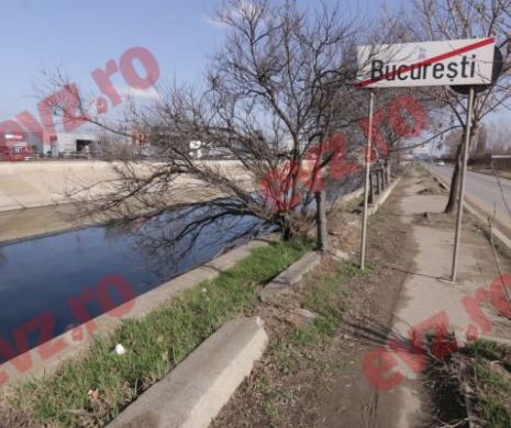 TRAGEDIE în București! Un CADAVRU a fost găsit plutind la malul Dâmboviței