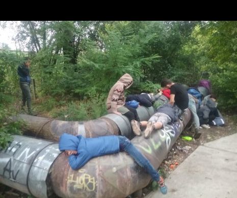 15 irakieni care au intrat ilegal din Serbia, descoperiți într-un parc, la Timișoara