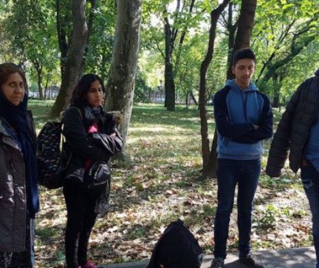 Afgani în parcul Botanic. Migranții intră ilegal în țară și ajung la Timișoara