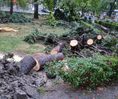 Bilanț după furtună la Timișoara: pagube de peste 4,31 de milioane