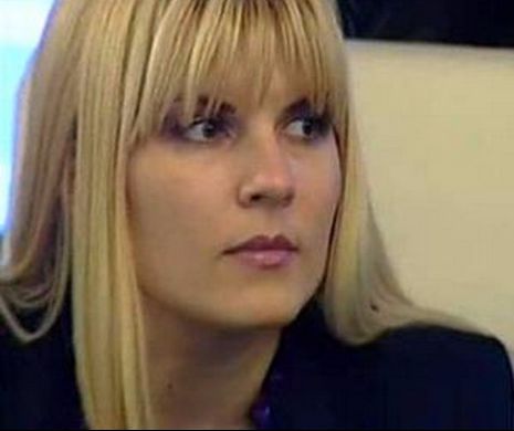 Elena Udrea, MARTORĂ la un incident cu „ŞMECHERII” din Primăverii şi poliţiştii de la circulaţie