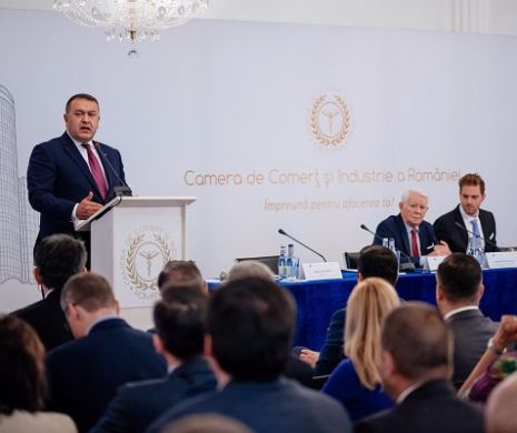 Mihai Daraban, președintele CCIR: La export trebuie să mizăm pe servicii! Branduri n-avem prea multe