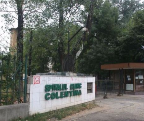 Primăria Capitalei, EROARE sau MANIPULARE în cazul spitalului Colentina? Cuvintele care au băgat-o pe Firea în CORZI