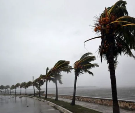 Uraganul Irma, motiv de BUCURIE pentru 100 de persoane. Ce s-a întâmplat