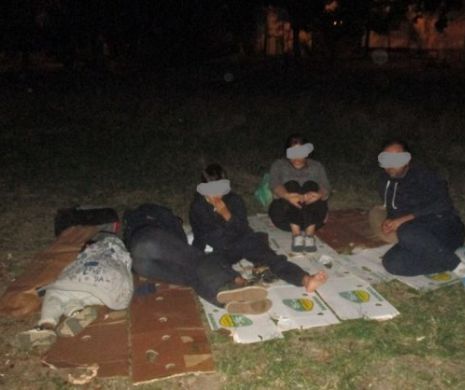 Zeci de migranți, care se ascundeau în parcuri din Timișoara, găsiți de Poliția Locală