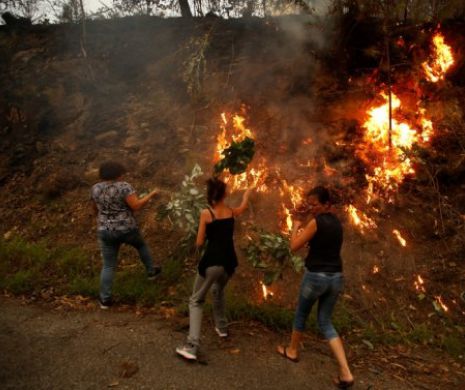INCENDII dezastruoase în Portugalia și Spania, declanșate de O MÂNĂ CRIMINALĂ