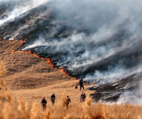 Incendiu PUTERNIC de vegetație! Pompierii luptă de două zile cu FURIA FLĂCĂRILOR