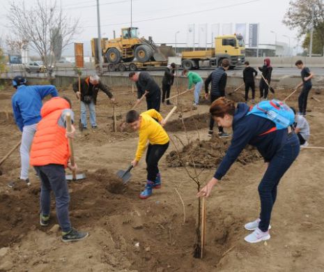 ”Livada de la școală”. Voluntari și elevi din județul Iași au plantat pomi fructiferi