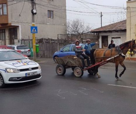 Poliția Locală Constanța, aleargă, fără spor, după căruțași