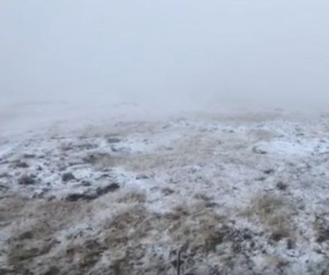 Prima ninsoare în Banat I VIDEO